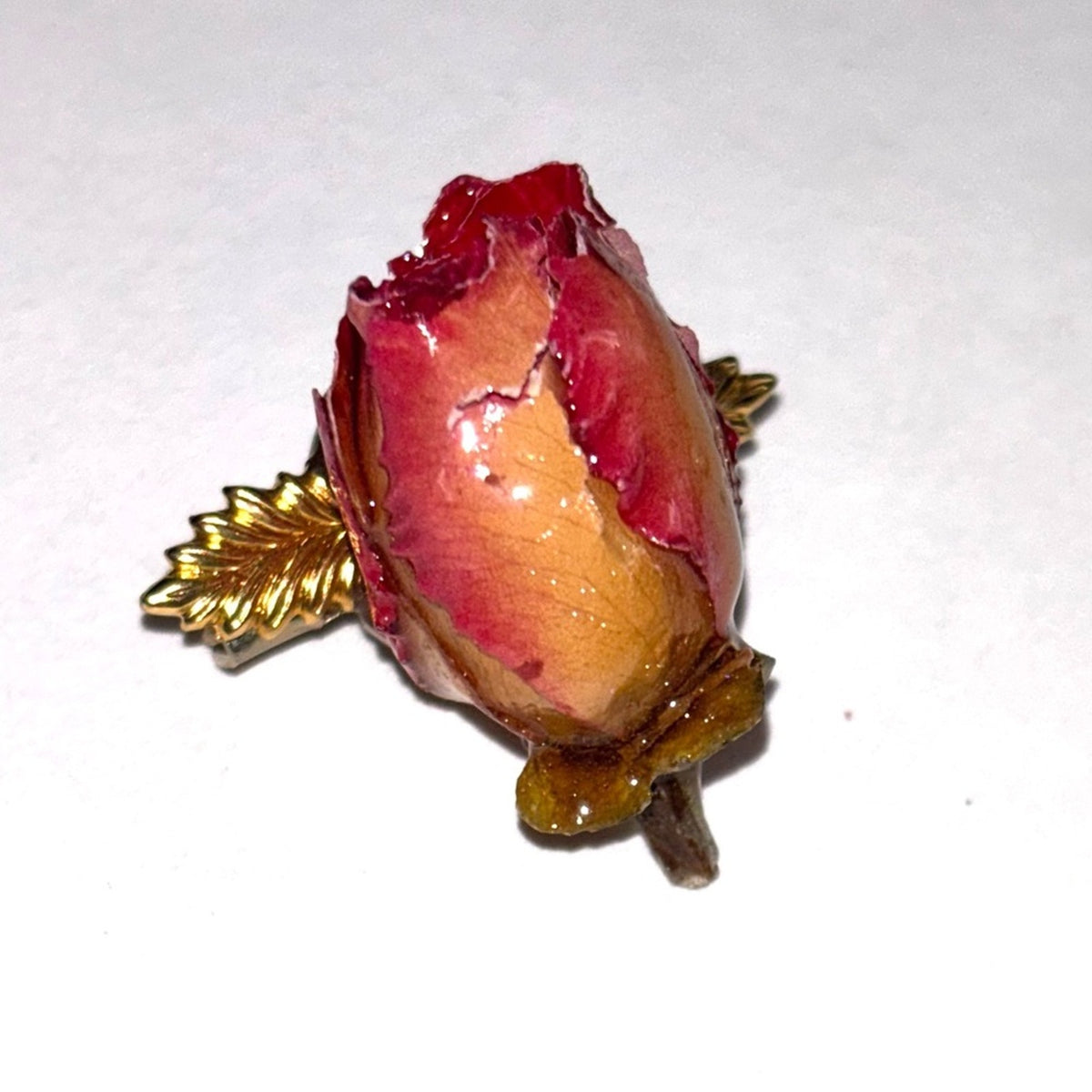 ✨ Cottagecore Real Preserved Red Rosebud Brooch Pin Gold Tone Botanical Art